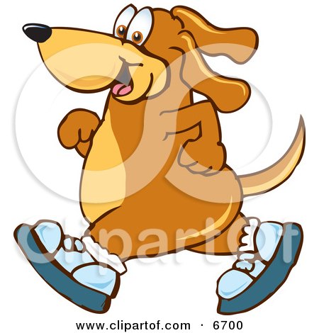 Brown Dog Mascot Cartoon Character Wearing Tennis Shoes and Taking a Walk Clipart Picture by Mascot Junction