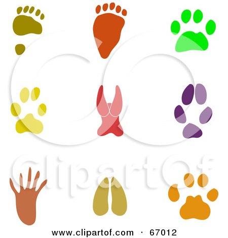 Royalty-Free (RF) Clipart Illustration of a Digital Collage Of Colorful Paw Print Icons by Prawny