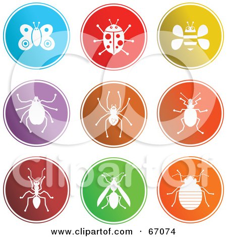 Royalty-Free (RF) Clipart Illustration of a Digital Collage Of Round Colorful Insect Buttons by Prawny