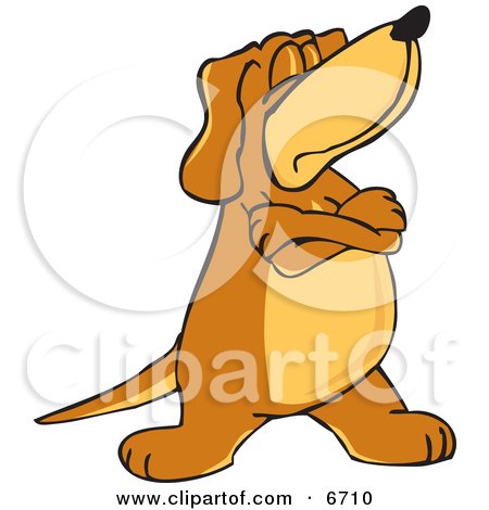 Brown Dog Mascot Cartoon Character With Crossed Arms, Disobeying Commands Clipart Picture by Mascot Junction