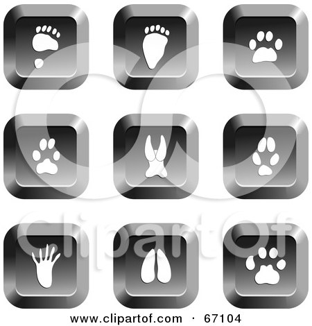Royalty-Free (RF) Clipart Illustration of a Digital Collage Of Square Chrome Animal Track Buttons by Prawny