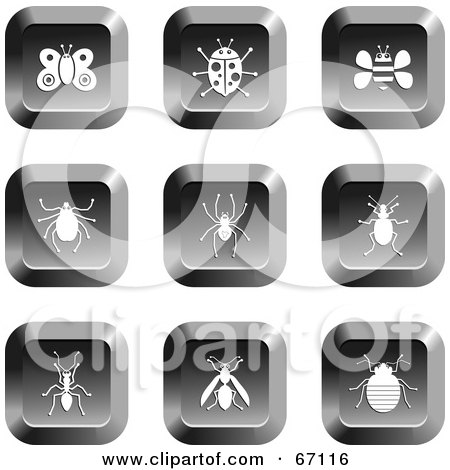 Royalty-Free (RF) Clipart Illustration of a Digital Collage Of Square Chrome Insect Buttons by Prawny