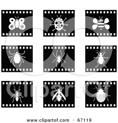 Royalty-Free (RF) Clipart Illustration of a Digital Collage Of Black And White Film Strip Insect Buttons by Prawny