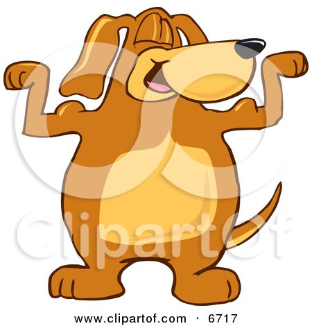 Brown Dog Mascot Cartoon Character Flexing His Bicep Arm Muscles Clipart Picture by Mascot Junction