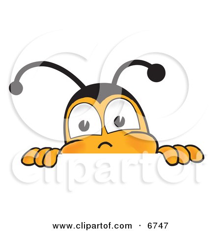 Clipart Picture of a Bee Mascot Cartoon Character Peeking Over a Horizontal Surface by Toons4Biz
