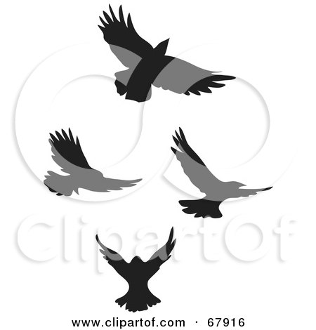 Royalty-Free (RF) Clipart Illustration of a Digital Collage Of Black Flying Bird Silhouettes by Rosie Piter