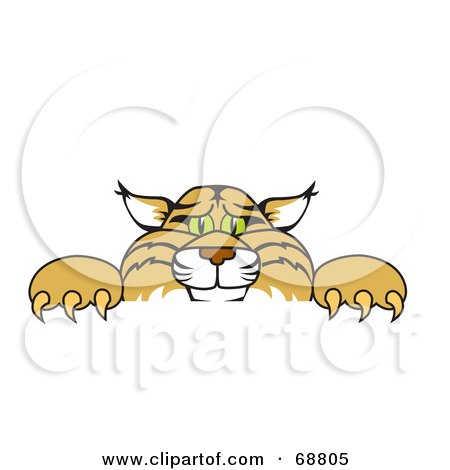 Royalty-Free (RF) Clipart Illustration of a Bobcat Character Looking Over a Sign by Mascot Junction