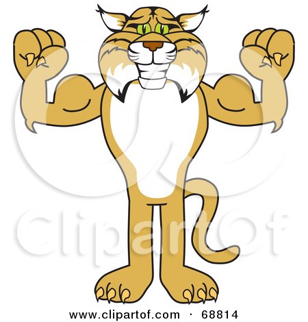 Royalty-Free (RF) Clipart Illustration of a Bobcat Character Flexing by Mascot Junction