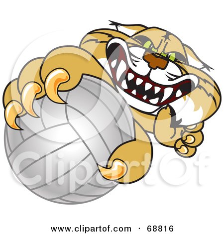 Royalty-Free (RF) Clipart Illustration of a Bobcat Character Grabbing a Volleyball by Mascot Junction