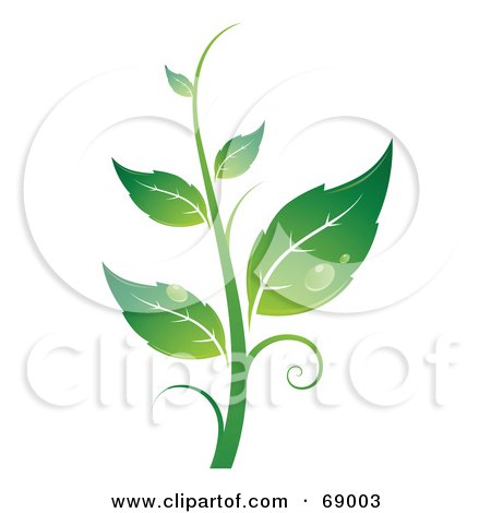 Royalty-Free (RF) Clipart Illustration of a Dewy Green Organic Leafy Plant by beboy