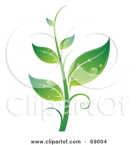 Royalty-Free (RF) Clipart Illustration of a Dewy Green Organic Seedling Plant by beboy