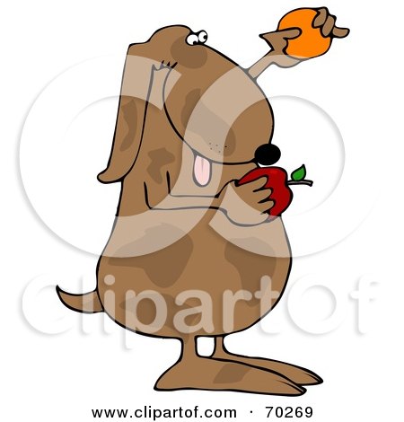 Royalty-Free (RF) Clipart Illustration of a Brown Dog Comparing An Apple And Orange by djart
