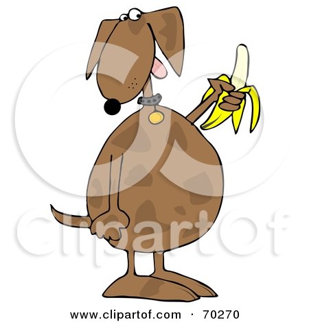 Royalty-Free (RF) Clipart Illustration of a Brown Dog Eating A Banana by djart