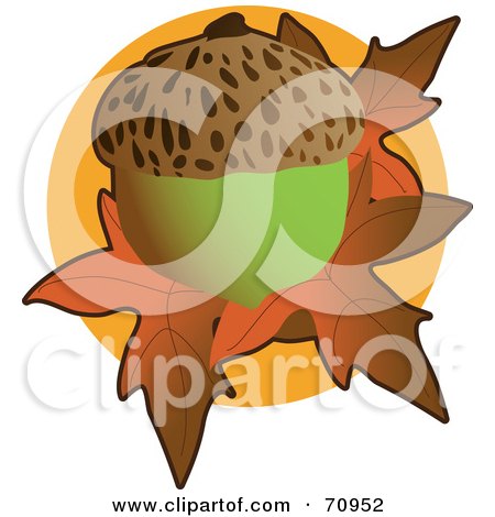 Royalty-Free (RF) Clipart Illustration of a Green Acorn Over Orange Fall Leaves Over A Circle by Maria Bell