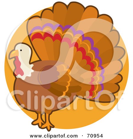 Royalty-Free (RF) Clipart Illustration of a Thanksgiving Turkey Bird With His Tail Fanned by Maria Bell