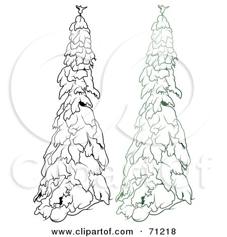 Royalty-Free (RF) Clipart Illustration of an Evergreen Tree Flocked In Snow, With A Black And White Copy - Version 4 by dero
