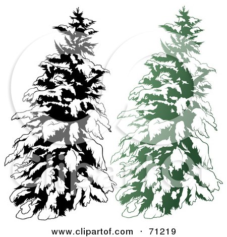Royalty-Free (RF) Clipart Illustration of an Evergreen Tree Flocked In Snow, With A Black And White Copy - Version 1 by dero