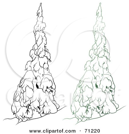 Royalty-Free (RF) Clipart Illustration of an Evergreen Tree Flocked In Snow, With A Black And White Copy - Version 6 by dero