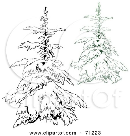 Royalty-Free (RF) Clipart Illustration of an Evergreen Tree Flocked In Snow, With A Black And White Copy - Version 3 by dero