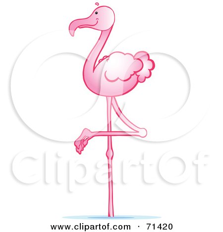 Royalty-Free (RF) Clipart Illustration of a Pink Wading Flamingo With One Leg Lifted by Snowy