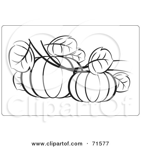 Royalty-Free (RF) Clipart Illustration of a Black And White Outline Of Two Pumpkins With Leaves by Lal Perera