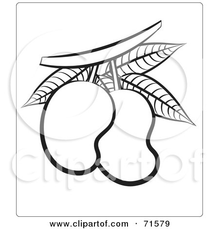 Royalty-Free (RF) Clipart Illustration of a Black And White Outline Of Mangoes by Lal Perera