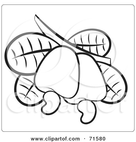 Royalty-Free (RF) Clipart Illustration of a Black And White Outline Of Cashews On A Branch by Lal Perera