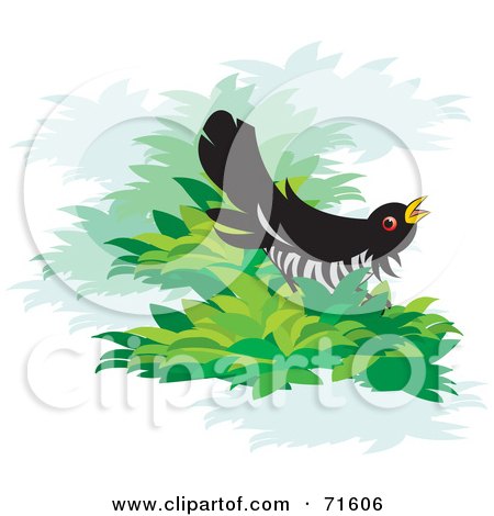 Royalty-Free (RF) Clipart Illustration of a Singing Cuckoo Bird On A Branch by Lal Perera