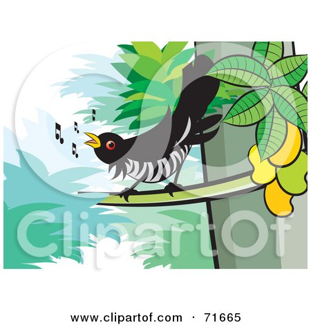 Royalty-Free (RF) Clipart Illustration of a Cuckoo Bird Singing In A Tree by Lal Perera