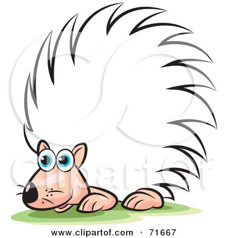 Royalty-Free (RF) Clipart Illustration of a White Albino Porcupine by Lal Perera