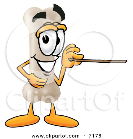 Clipart Picture of a Bone Mascot Cartoon Character Holding a Pointer Stick by Mascot Junction