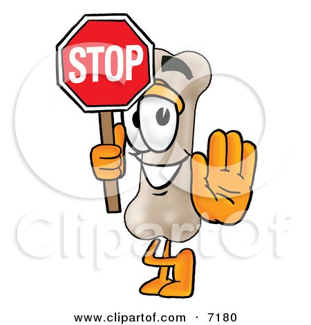 Clipart Picture of a Bone Mascot Cartoon Character Holding a Stop Sign by Mascot Junction