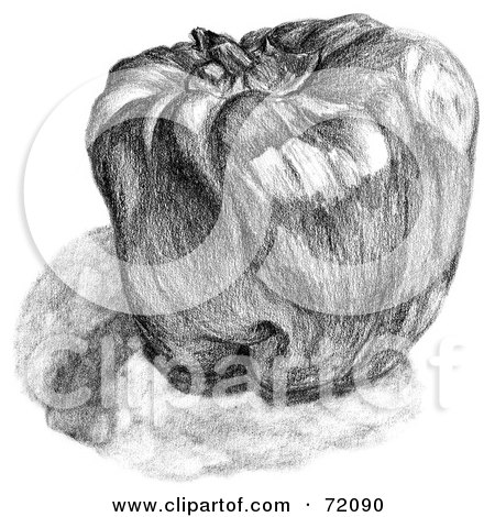 Royalty-Free (RF) Clipart Illustration of a Black And White Shadowed Bell Pepper Sketch by inkgraphics