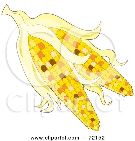 Royalty-Free (RF) Clipart Illustration of Two Ears Of Indian Corn With Husks by Maria Bell