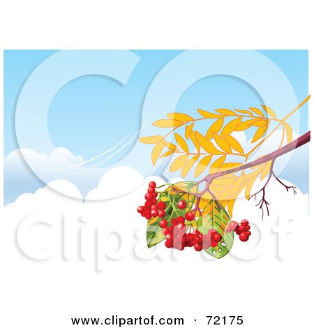 Royalty-Free (RF) Clipart Illustration of an Autumn Branch With Berries, Over Clouds In A Blue Sky With A Breeze by Pushkin