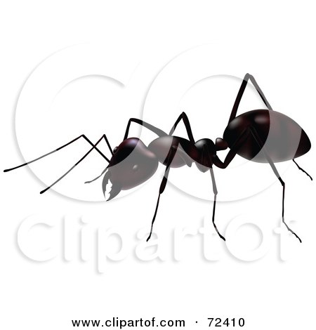 Royalty-Free (RF) Clipart Illustration of a 3d Ant Bug by cidepix