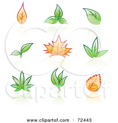 Royalty-Free (RF) Clipart Illustration of a Digital Collage Of Green And Orange Autumn And Spring Leaves by cidepix
