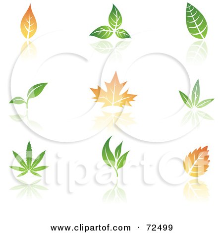 Royalty-Free (RF) Clipart Illustration of a Digital Collage Of Leaves With Reflections by cidepix
