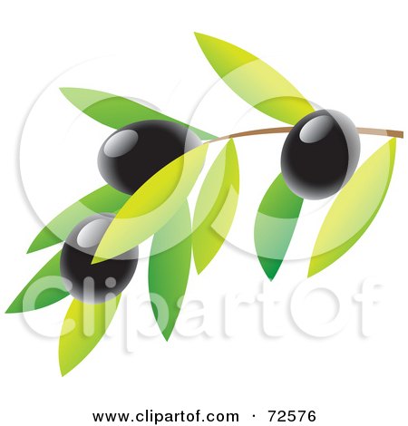 Royalty-Free (RF) Clipart Illustration of a Branch With Leaves And Black Olives by cidepix