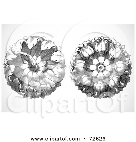 Royalty-Free (RF) Clipart Illustration of a Digital Collage Of Two Elegant Black And White Floral Woodcut Circles by BestVector