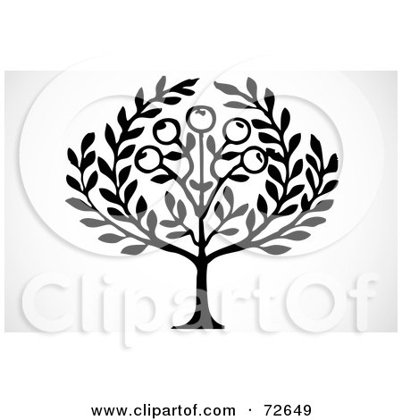 Royalty-Free (RF) Clip Art Illustration of a Black And White Laurel Tree With Olives by BestVector