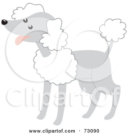 Royalty-Free (RF) Clipart Illustration of a Happy Gray Poodle With White Fluff by Rosie Piter
