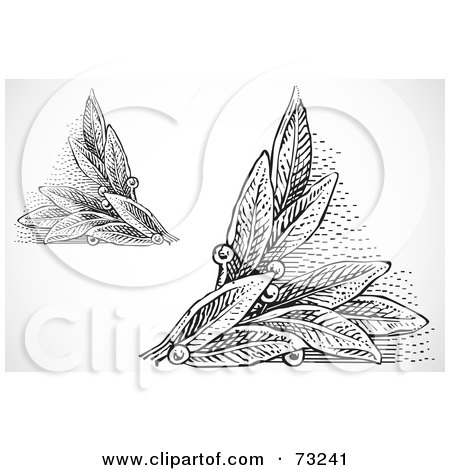 Royalty-Free (RF) Clipart Illustration of a Digital Collage Of Black And White Leaf Corner Designs by BestVector
