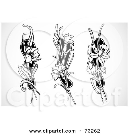 Royalty-Free (RF) Clipart Illustration of a Digital Collage Of Three Black And White Tulip, Carnation And Daffodil Elements by BestVector