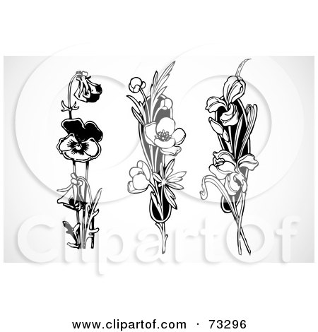 Royalty-Free (RF) Clipart Illustration of a Digital Collage Of Three Black And White Floral Stems; Pansy, Buttercups And Irises by BestVector