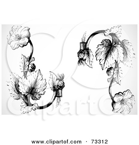 Royalty-Free (RF) Clipart Illustration of a Digital Collage Of Two Floral Black And White Vines by BestVector