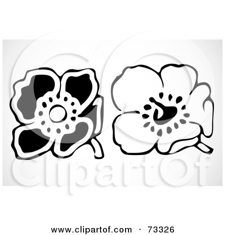 Royalty-Free (RF) Clip Art Illustration of a Digital Collage Of Black And White Poppies by BestVector