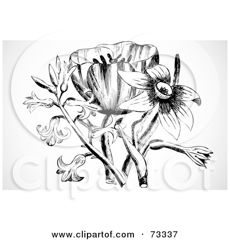 Royalty-Free (RF) Clipart Illustration of a Black And White Tulip, Lily And Daffodil Bouquet by BestVector