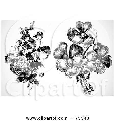 Royalty-Free (RF) Clipart Illustration of a Digital Collage Of Two Vintage Black And White Bouquets by BestVector