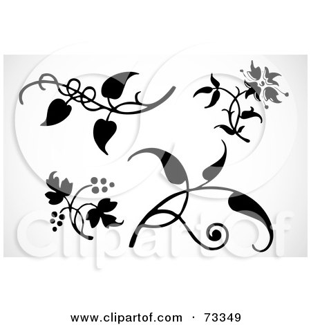 Royalty-Free (RF) Clipart Illustration of a Digital Collage Of Four Black And White Leaves And Plants by BestVector